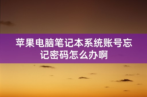 苹果电脑笔记本系统账号忘记密码怎么办啊