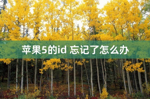 苹果5的id 忘记了怎么办