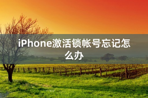 iPhone激活锁帐号忘记怎么办