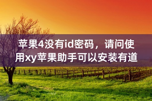 苹果4没有id密码，请问使用xy苹果助手可以安装有道云吗?