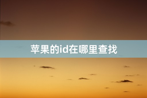 苹果的id在哪里查找