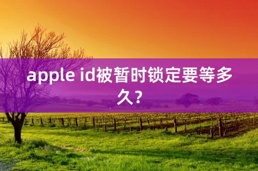 apple id被暂时锁定要等多久？