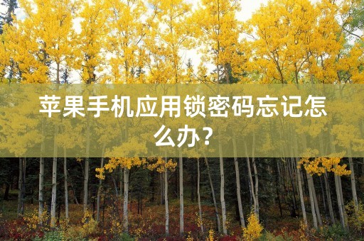 苹果手机应用锁密码忘记怎么办？