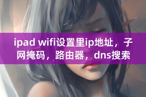 ipad wifi设置里ip地址，子网掩码，路由器，dns搜索域客户端id怎么填啊 请高手详细解释