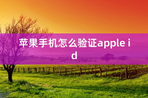 苹果手机怎么验证apple id