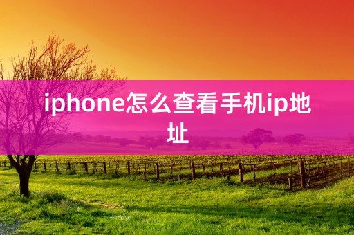 iphone怎么查看手机ip地址