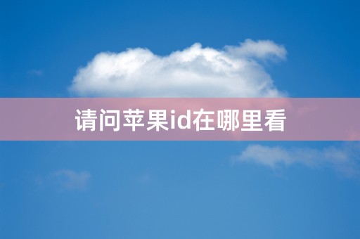 请问苹果id在哪里看