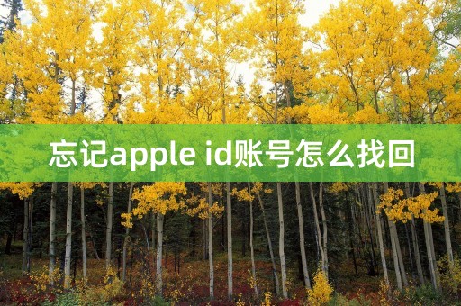 忘记apple id账号怎么找回