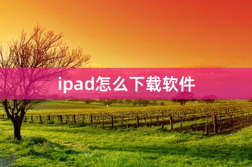 ipad怎么下载软件