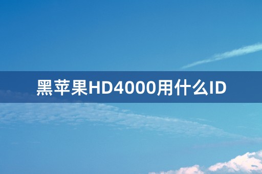 黑苹果HD4000用什么ID