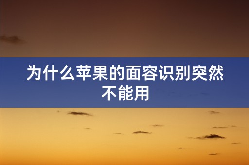 为什么苹果的面容识别突然不能用