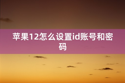 苹果12怎么设置id账号和密码