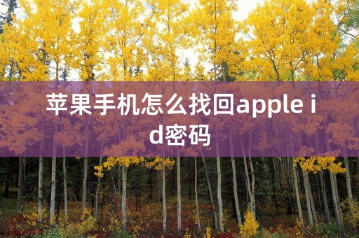 苹果手机怎么找回apple id密码