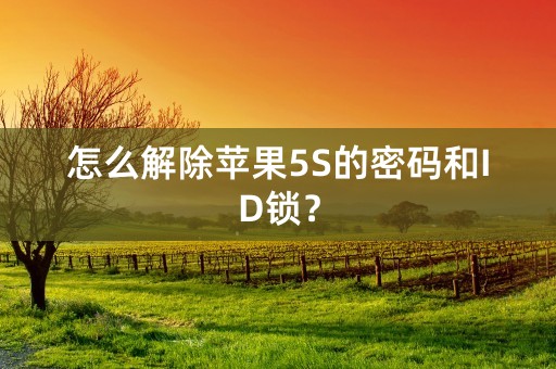 怎么解除苹果5S的密码和ID锁？