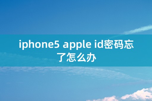 iphone5 apple id密码忘了怎么办