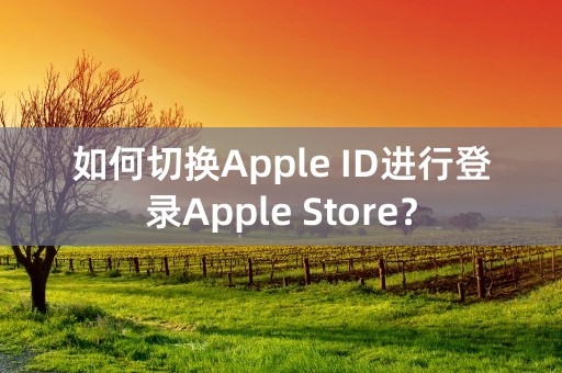 如何切换Apple ID进行登录Apple Store？