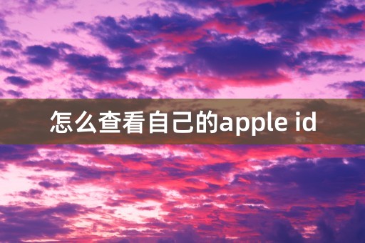 怎么查看自己的apple id