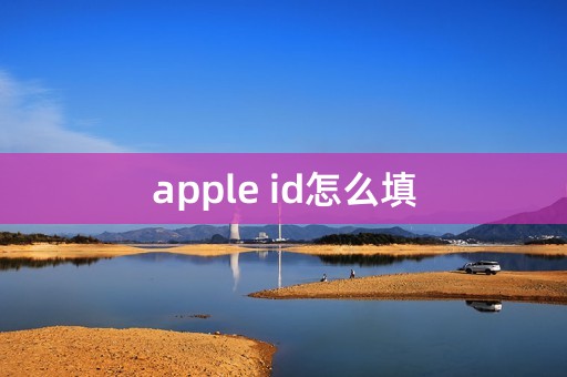 apple id怎么填