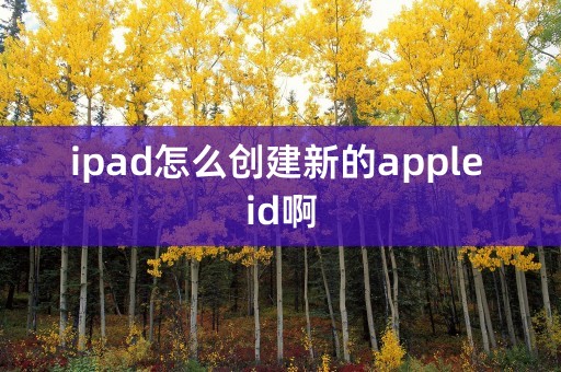 ipad怎么创建新的apple id啊