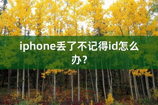 iphone丢了不记得id怎么办？