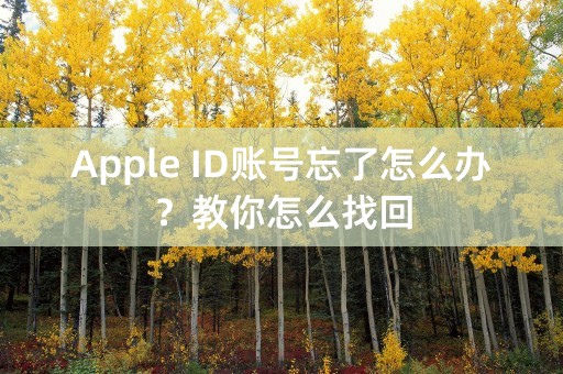 Apple ID账号忘了怎么办？教你怎么找回