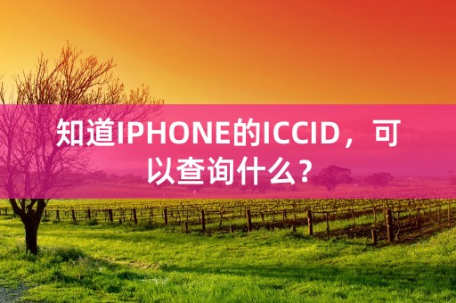 知道IPHONE的ICCID，可以查询什么？