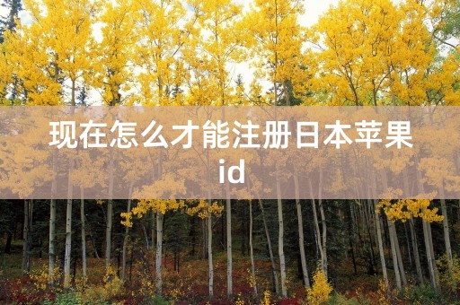 现在怎么才能注册日本苹果id