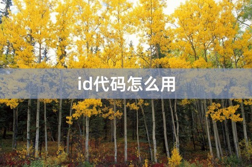 id代码怎么用