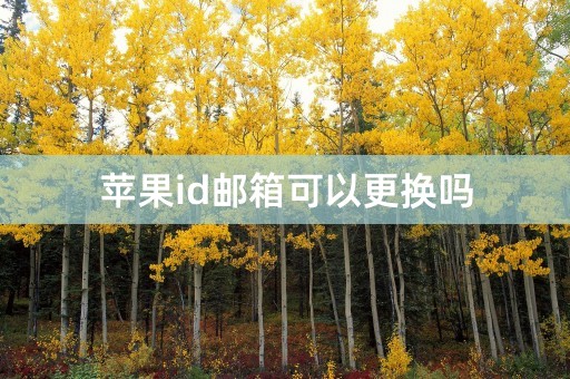 苹果id邮箱可以更换吗