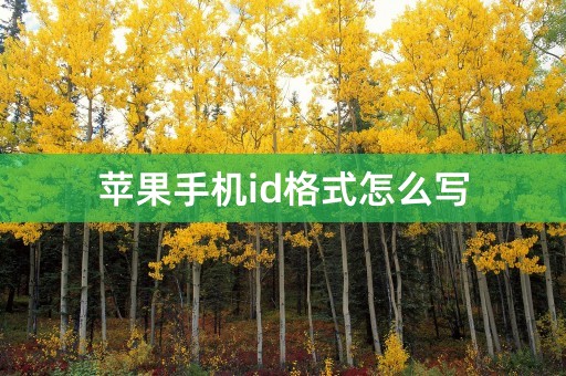 苹果手机id格式怎么写