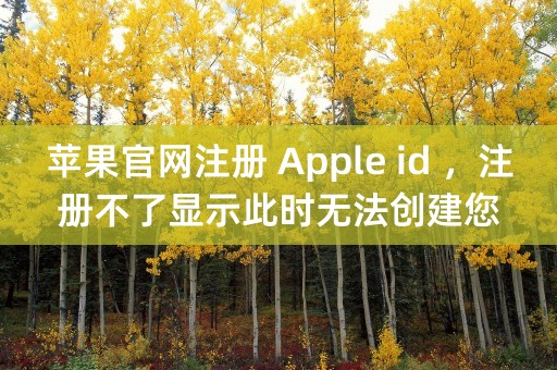 苹果官网注册 Apple id ，注册不了显示此时无法创建您的账户，是怎么回事？