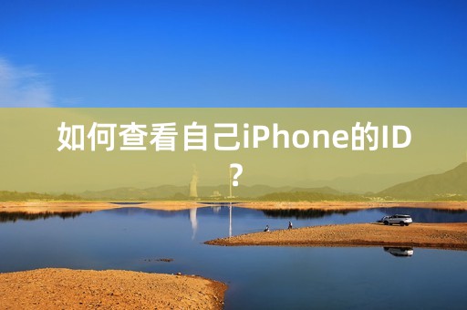 如何查看自己iPhone的ID？