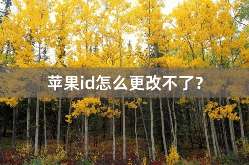 苹果id怎么更改不了？