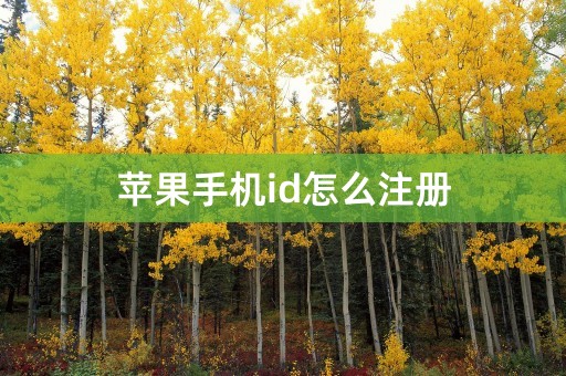 苹果手机id怎么注册