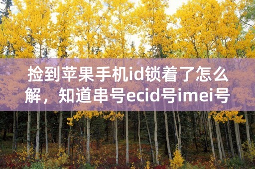 捡到苹果手机id锁着了怎么解，知道串号ecid号imei号！