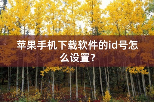 苹果手机下载软件的id号怎么设置？