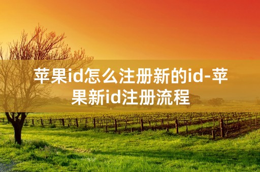 苹果id怎么注册新的id-苹果新id注册流程