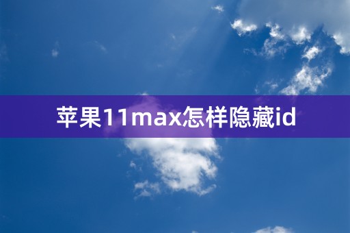 苹果11max怎样隐藏id