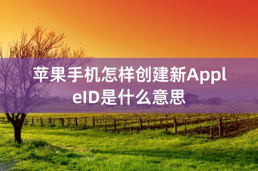 苹果手机怎样创建新AppleID是什么意思