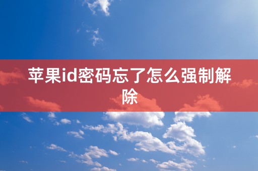 苹果id密码忘了怎么强制解除