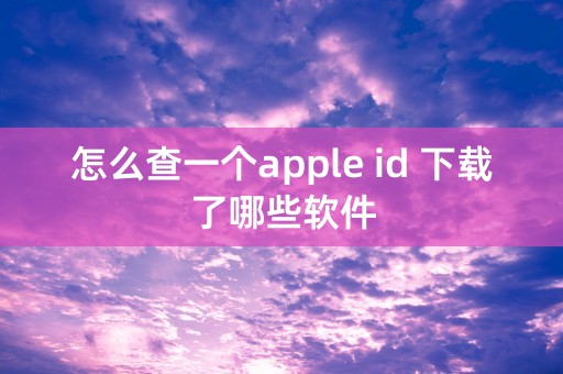 怎么查一个apple id 下载了哪些软件