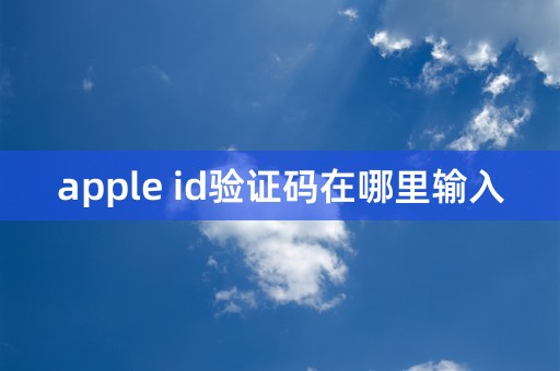 apple id验证码在哪里输入