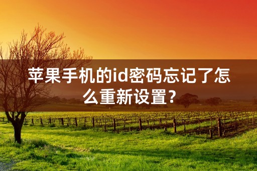 苹果手机的id密码忘记了怎么重新设置？