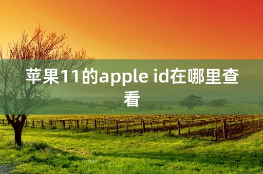 苹果11的apple id在哪里查看