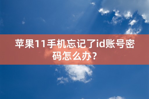 苹果11手机忘记了id账号密码怎么办？