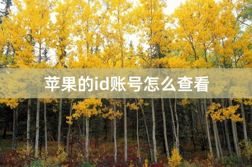 苹果的id账号怎么查看