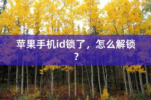 苹果手机id锁了，怎么解锁？