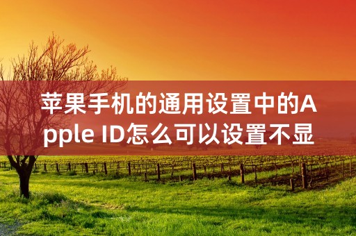 苹果手机的通用设置中的Apple ID怎么可以设置不显示我的名字？