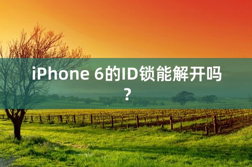 iPhone 6的ID锁能解开吗？