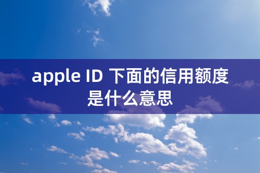 apple ID 下面的信用额度是什么意思